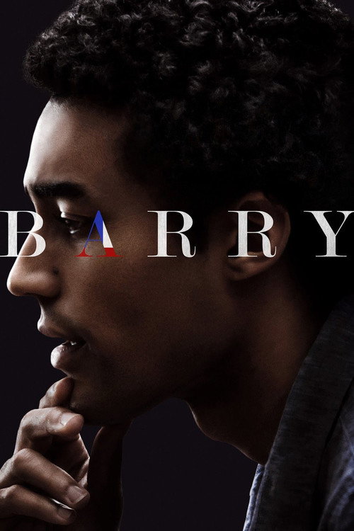 پوستر Barry