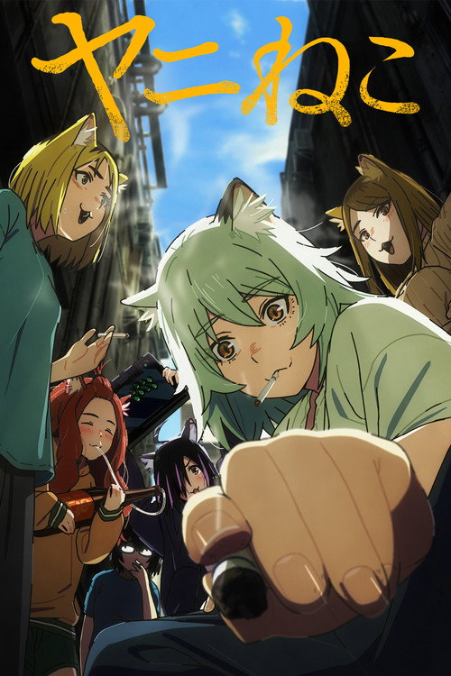پوستر Chainsmoker Cat