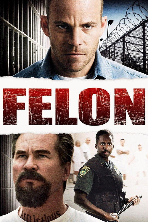 پوستر Felon