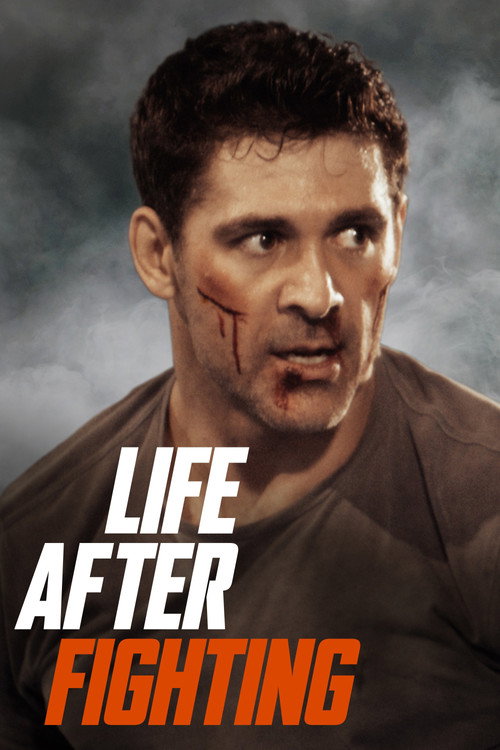 پوستر Life After Fighting