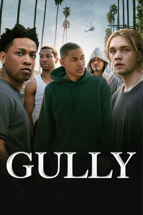 پوستر Gully