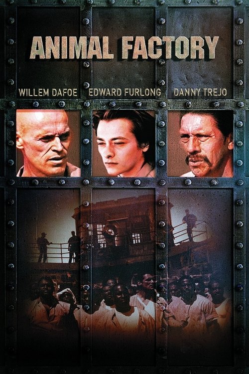 پوستر Animal Factory