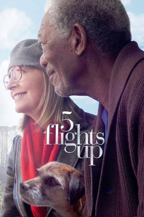 پوستر 5 Flights Up