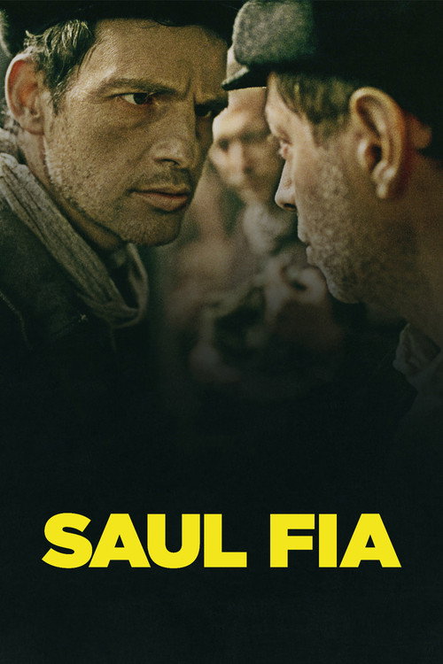 پوستر Saul fia