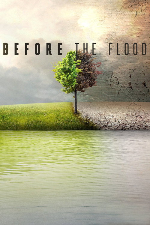 پوستر Before the Flood