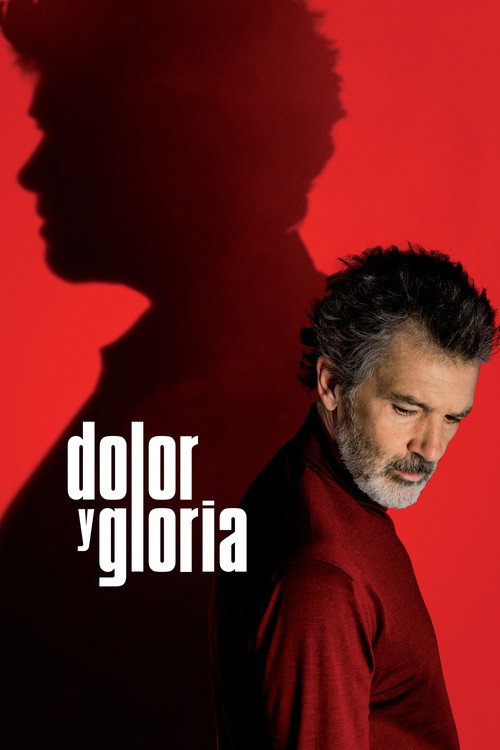 پوستر Dolor y gloria
