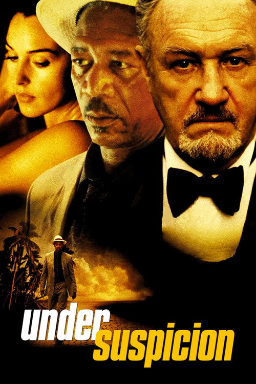 پوستر Under Suspicion