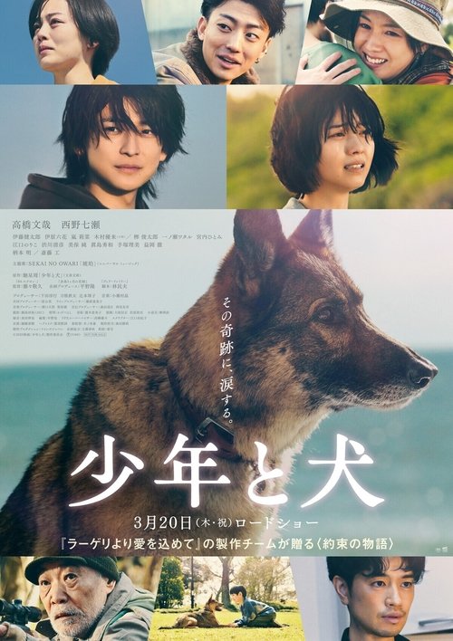 پوستر The Boy and the Dog