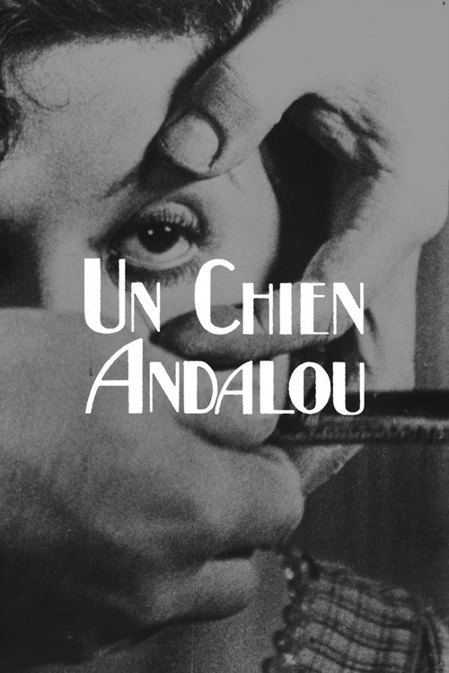 پوستر Un chien andalou