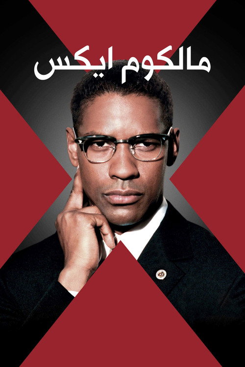 پوستر Malcolm X