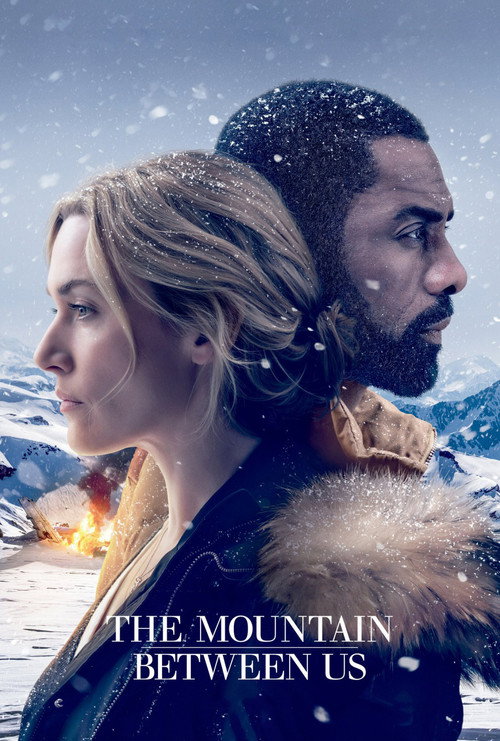 پوستر The Mountain Between Us