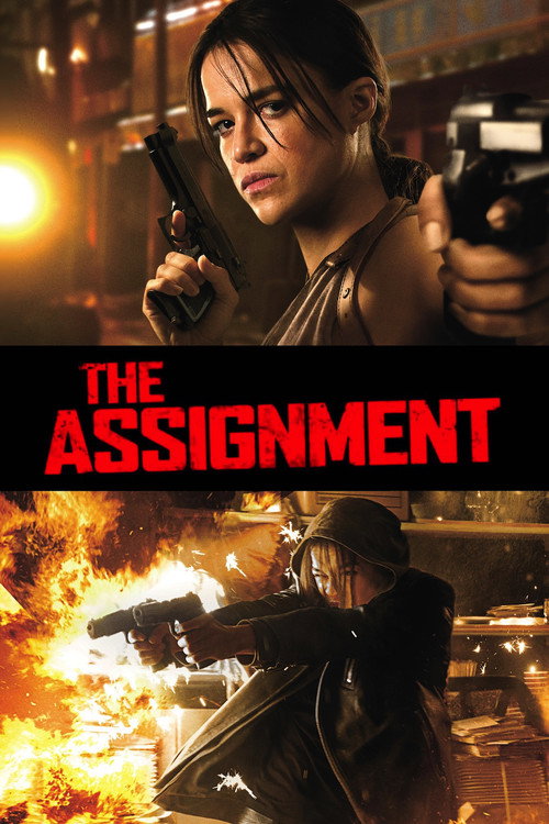 پوستر The Assignment