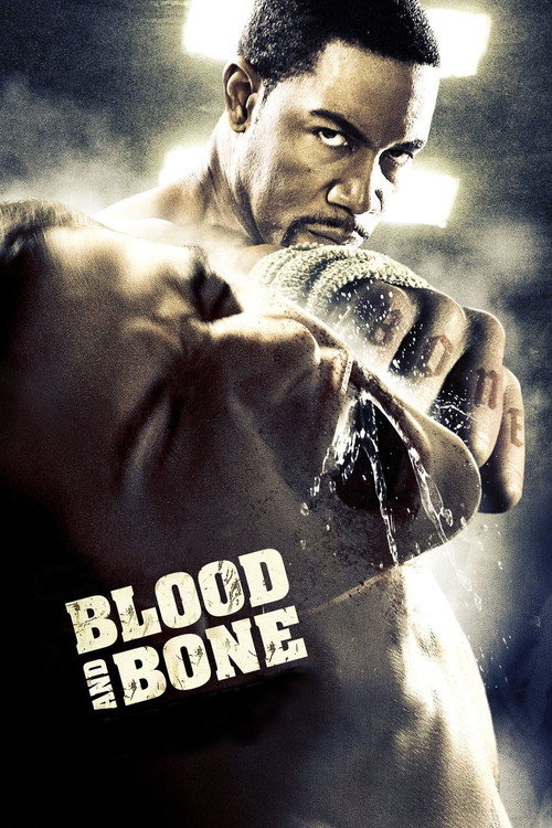 پوستر Blood and Bone