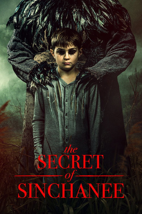 پوستر The Secret of Sinchanee