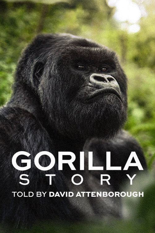 پوستر A Gorilla Story: Told by David Attenborough