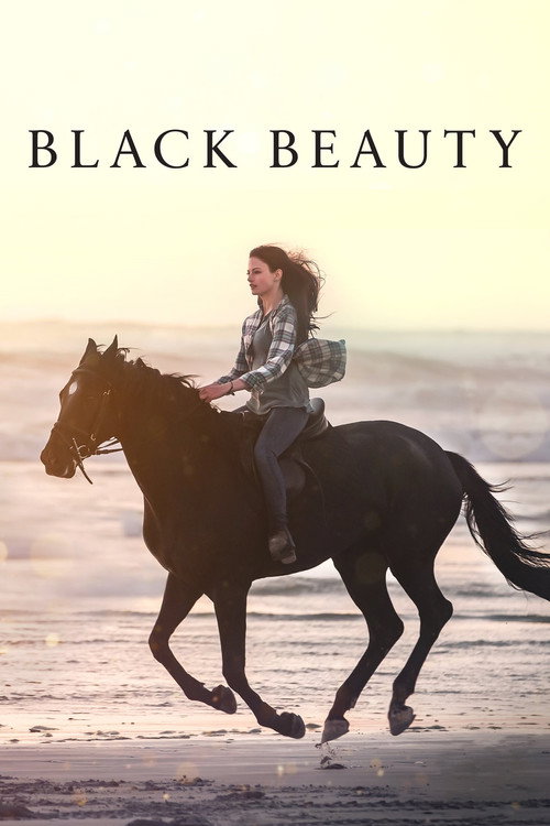 پوستر Black Beauty