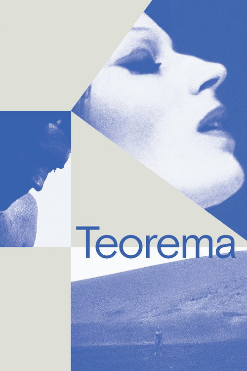 پوستر Teorema