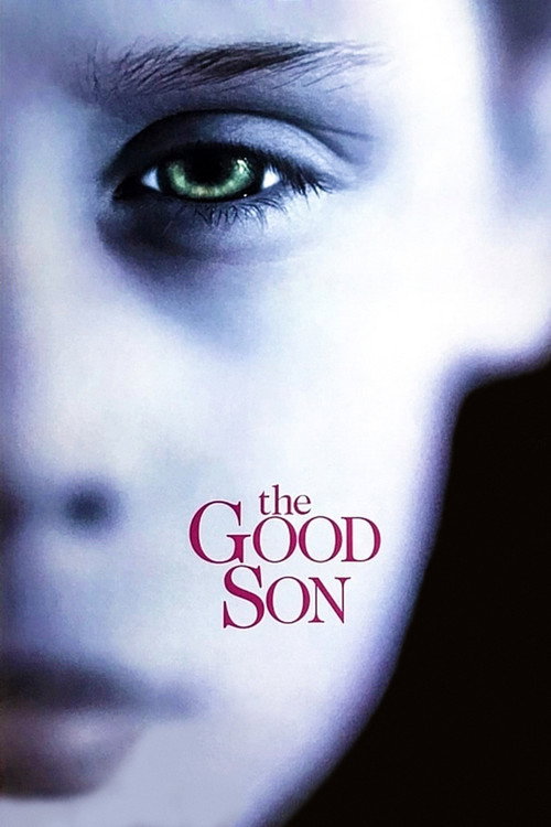 پوستر The Good Son
