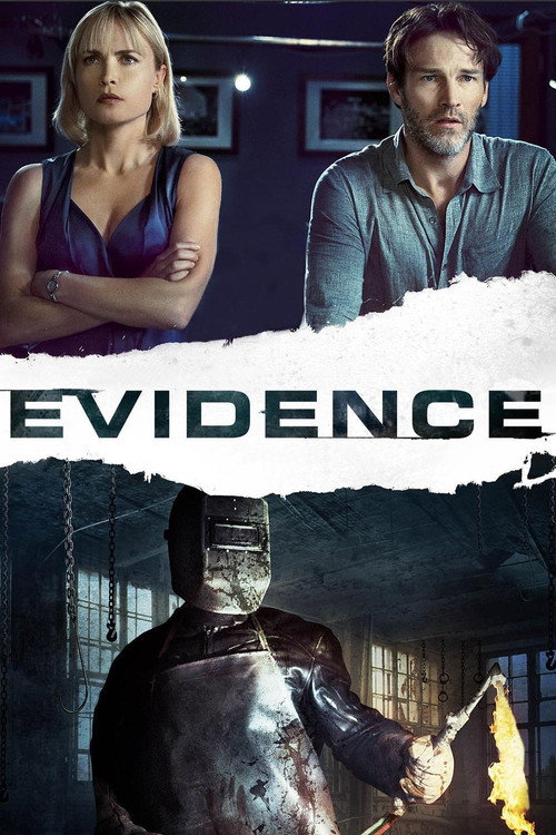 پوستر Evidence