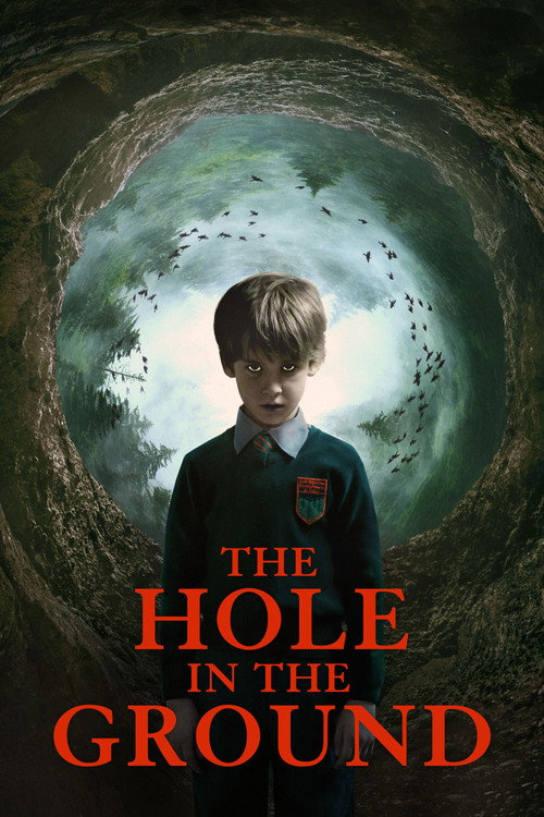 پوستر The Hole in the Ground