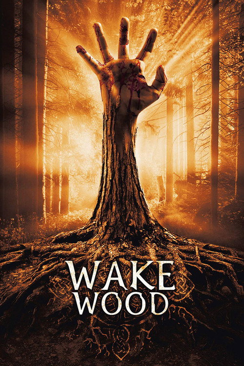 پوستر Wake Wood