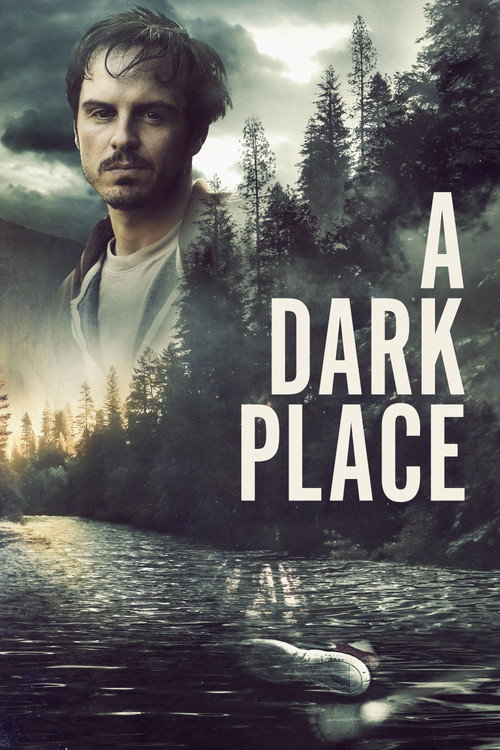 پوستر A Dark Place