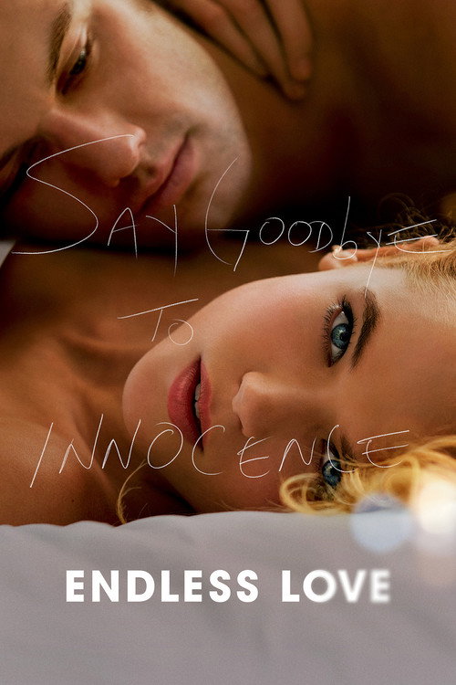 پوستر Endless Love