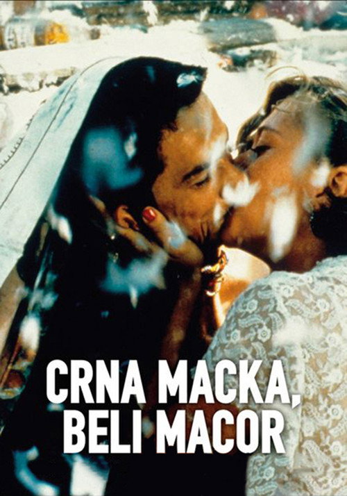 پوستر Crna mačka, beli mačor