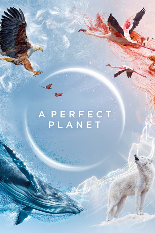 پوستر A Perfect Planet