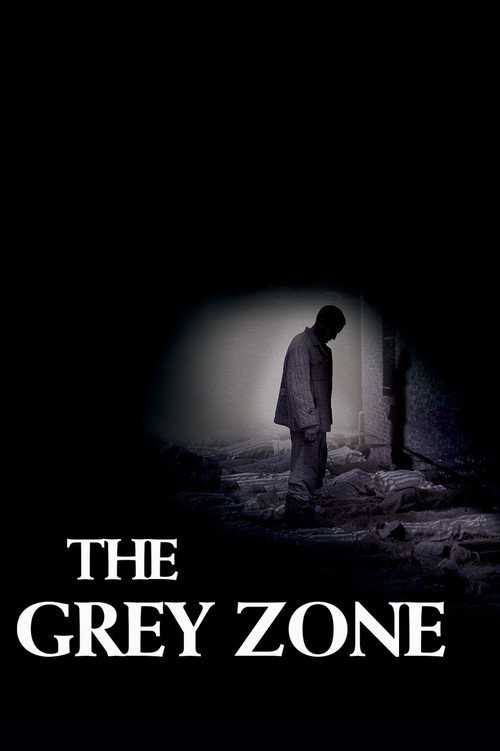 پوستر The Grey Zone