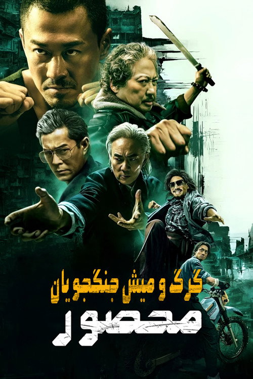 پوستر Twilight of the Warriors: Walled In