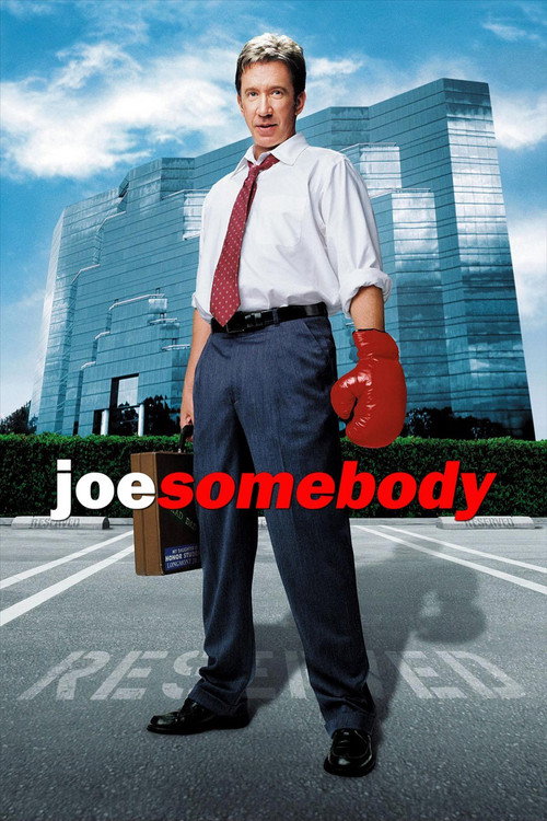پوستر Joe Somebody