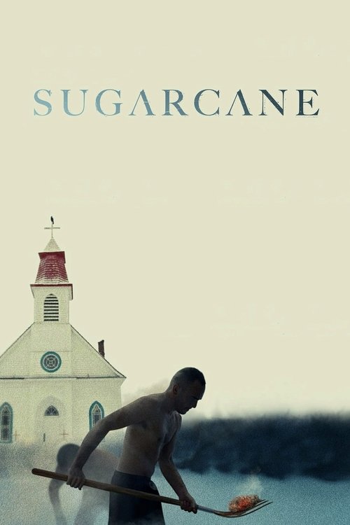 پوستر Sugarcane