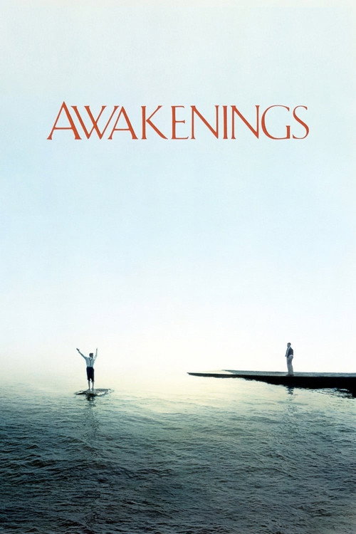 پوستر Awakenings