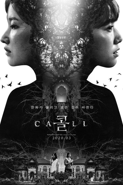 پوستر The Call