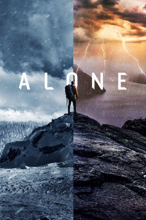 پوستر Alone
