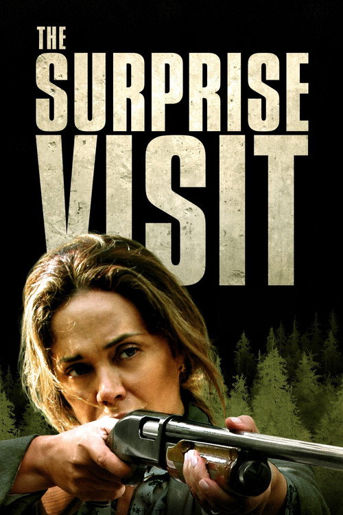 پوستر The Surprise Visit