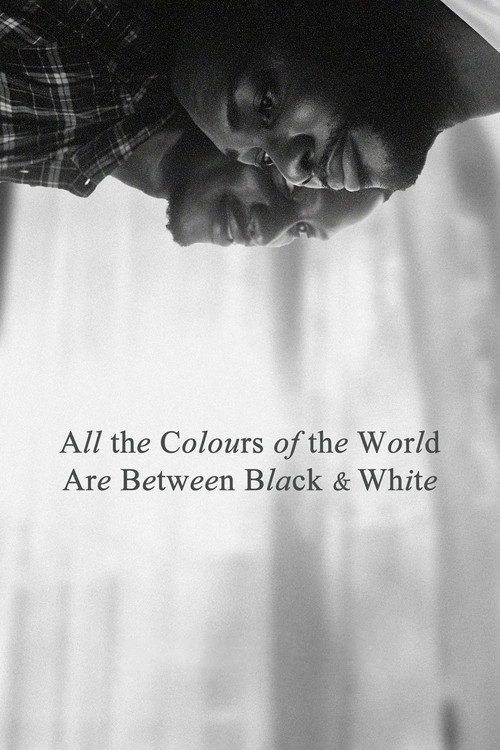 پوستر All the Colours of the World Are Between Black and White