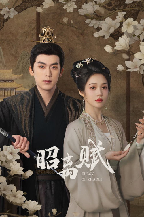 پوستر Elegy of Zhao Li
