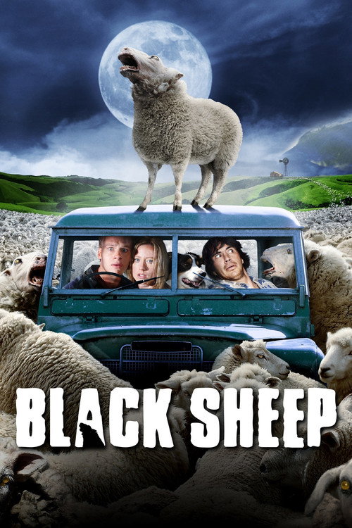پوستر Black Sheep