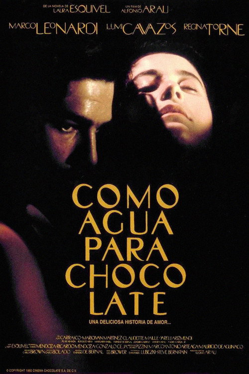 پوستر Como agua para chocolate