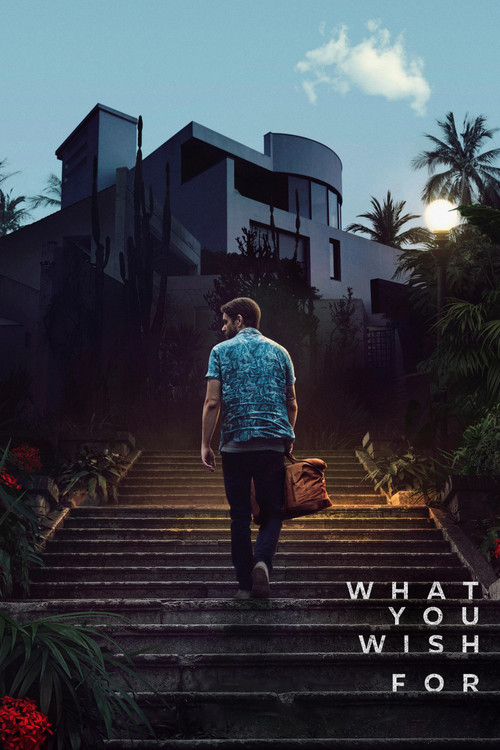 پوستر What You Wish For