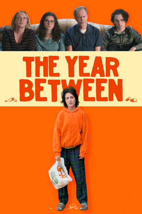 پوستر The Year Between