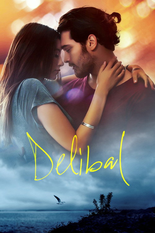 پوستر Delibal