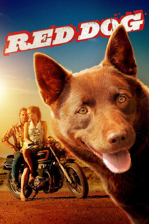 پوستر Red Dog