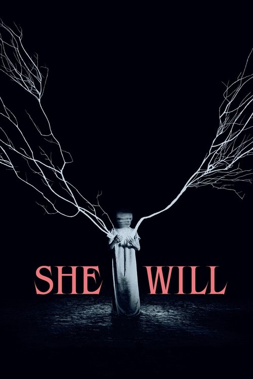 پوستر She Will