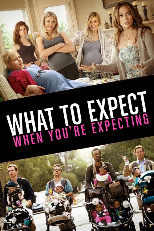 پوستر What to Expect When You're Expecting