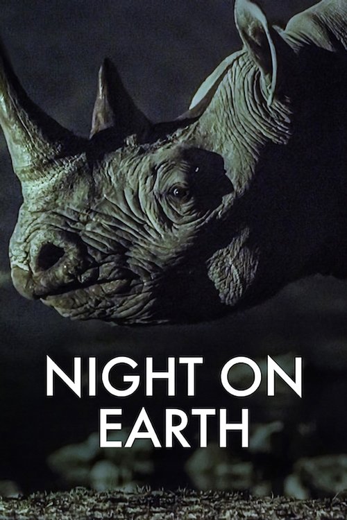 پوستر Night on Earth