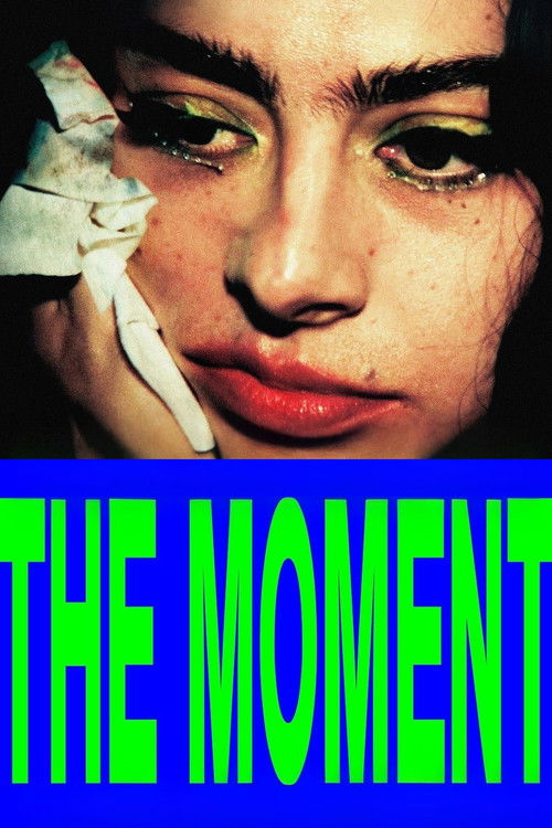 پوستر The Moment
