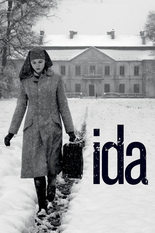 پوستر Ida